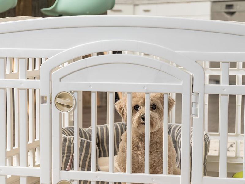 Pet fence